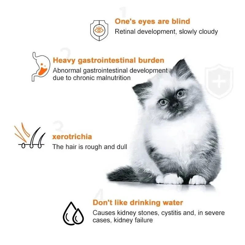 10pcs Cat Strips Pet Snacks Va - Snacks Food Labels ulasan dan harga