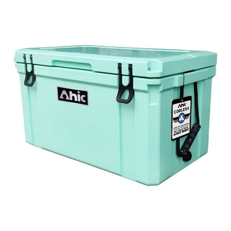 75L Insulated PE Ice Cooler Bo - Food & Snacks Coloring Book Bold & Easy ulasan dan harga