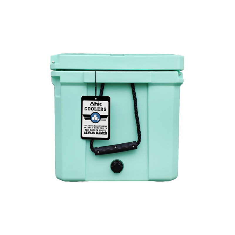 75L Insulated PE Ice Cooler Bo - Food & Snacks Coloring Book Bold & Easy ulasan dan harga
